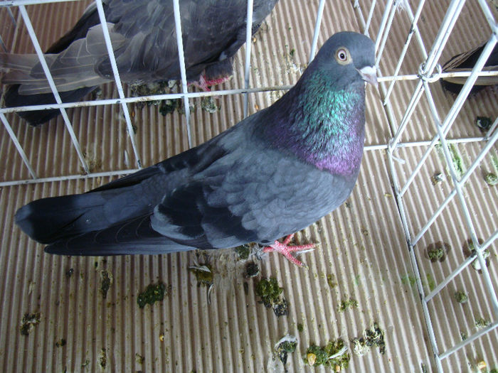 DSC02342