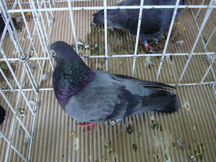 DSC02346