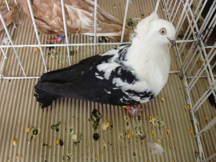 DSC02350