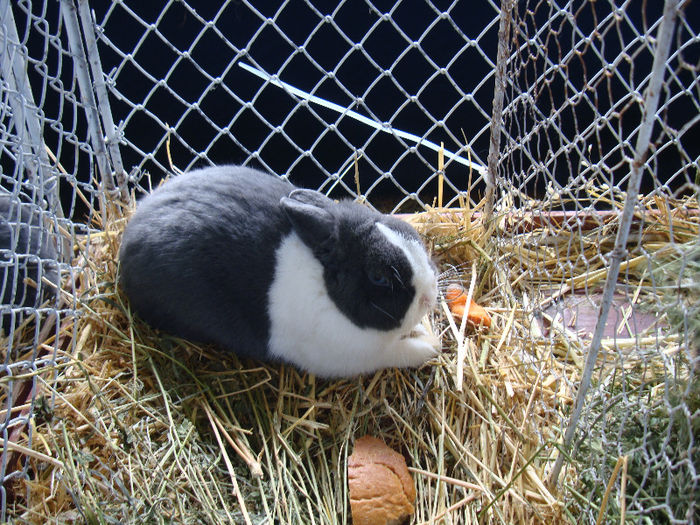 DSC02408