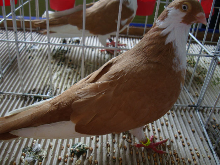 DSC02418