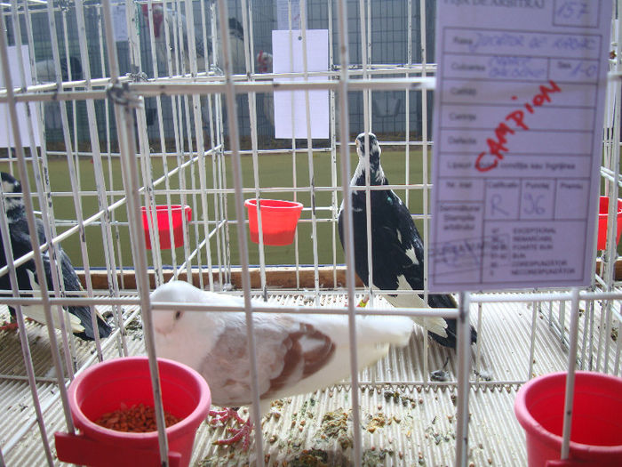 DSC02424