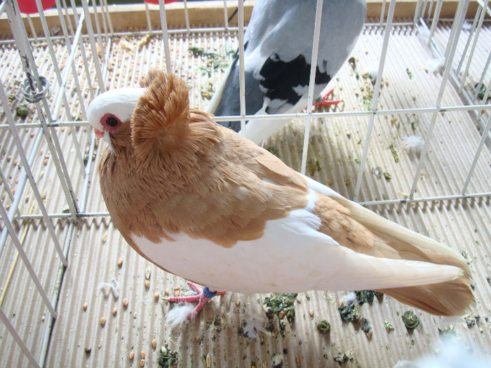 DSC02433