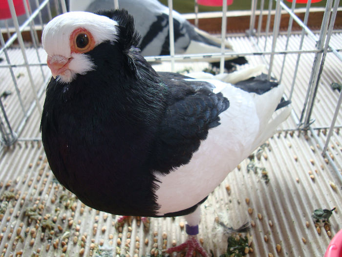 DSC02437