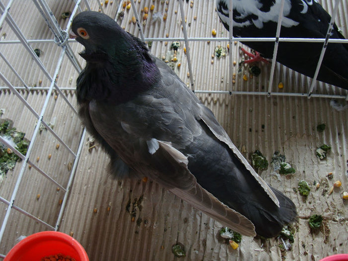DSC02445