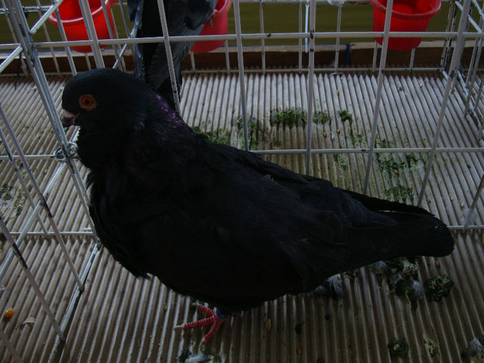DSC02451