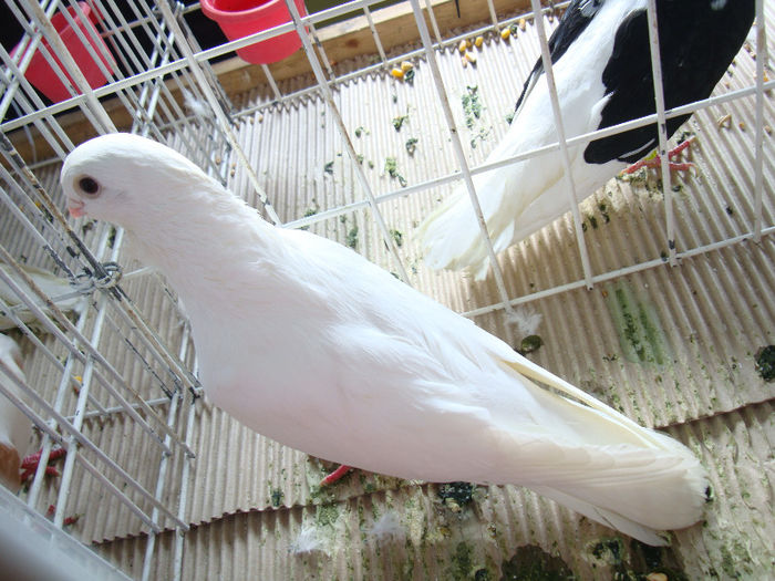 DSC02463