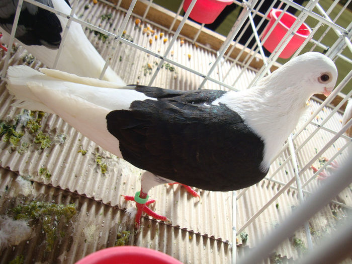 DSC02468