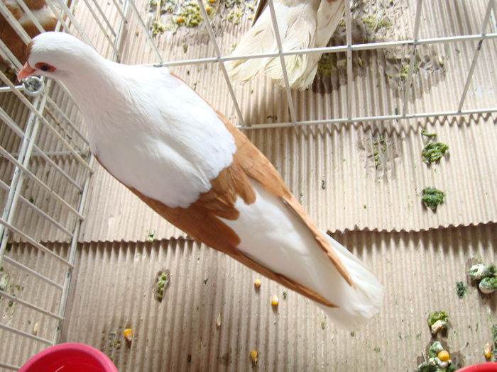 DSC02476