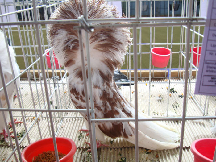 DSC02494
