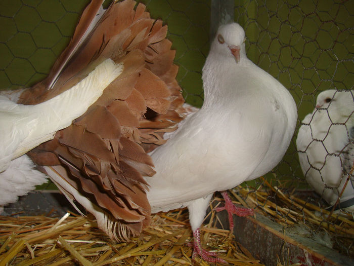 DSC02519