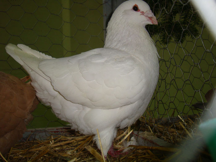 DSC02521