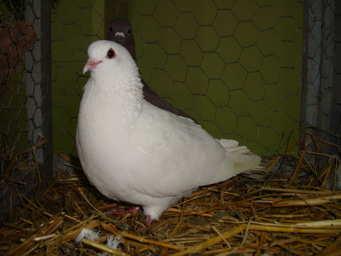 DSC02523