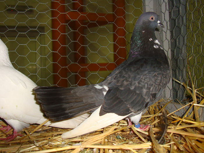 DSC02535