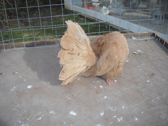 23 FEB 023