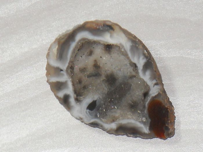DSCN6520