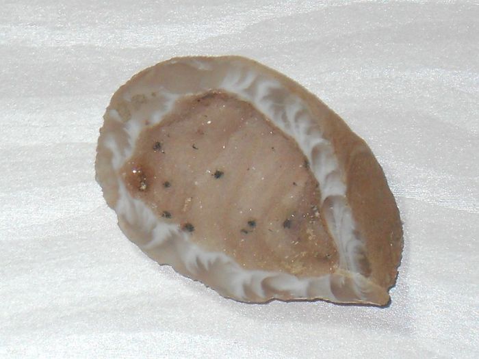 DSCN6525