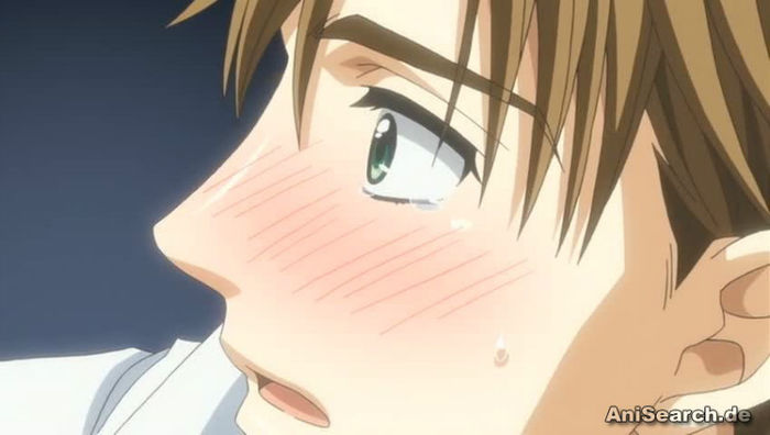 kokusai 2