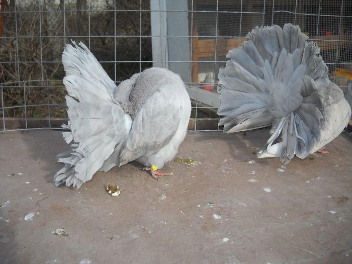 23 FEB 047