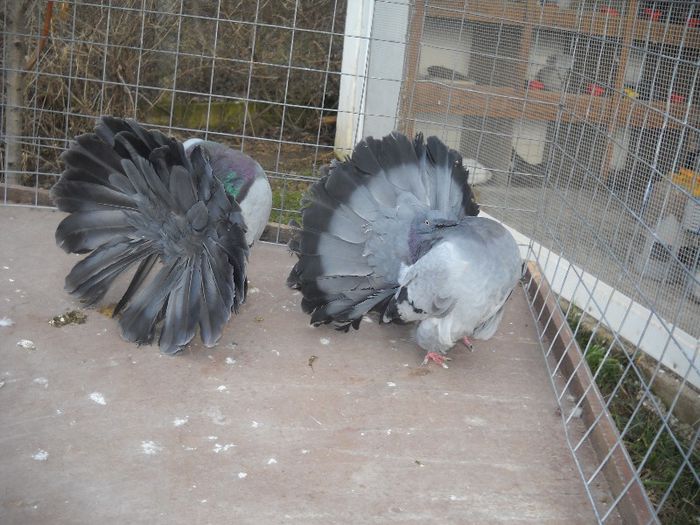 23 FEB 074