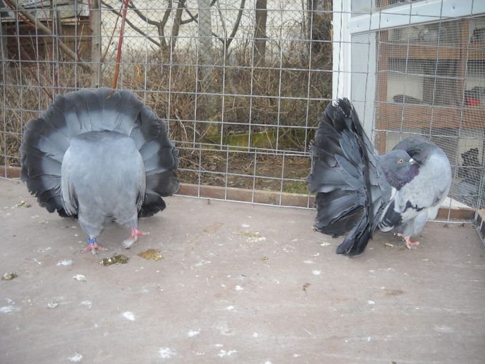 23 FEB 075