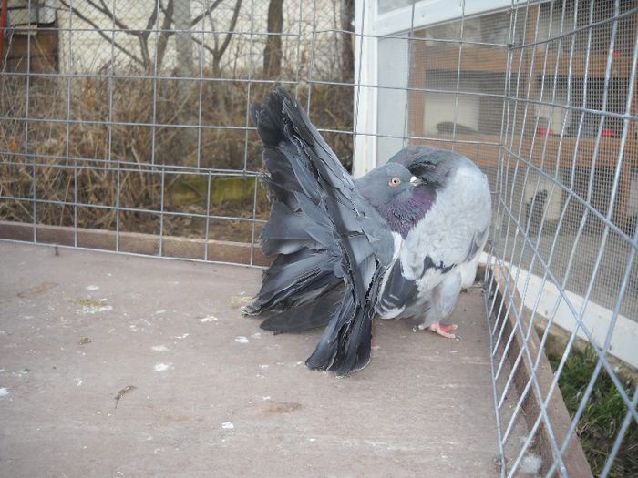 23 FEB 076