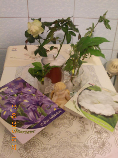 multumesc liuta, surioara !