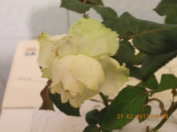 multumesc liuta, surioara !