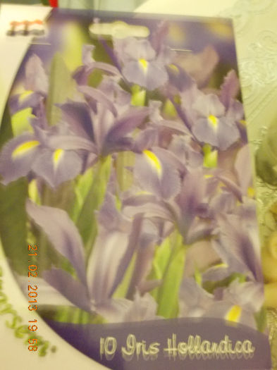 multumesc liuta, surioara !