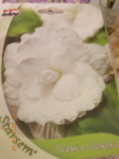 multumesc liuta, surioara !