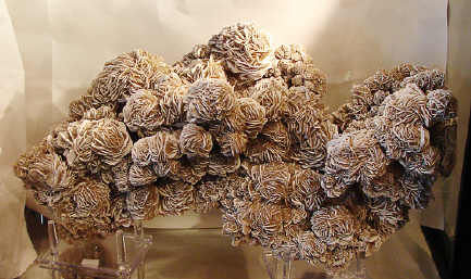 Trandafirul desertului 2; Iata un exponat minunat aflat in cadrul muzeului de mineralogie

