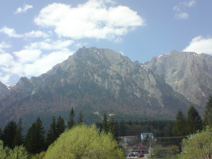 DSC00469 - Bucegi - Poiana Tapului - Busteni