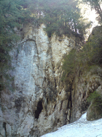 DSC00488 - Natura asa cum ne asteapta