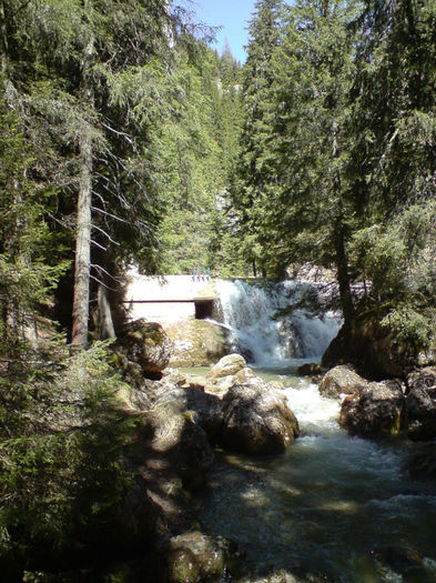 DSC00489 - Natura asa cum ne asteapta