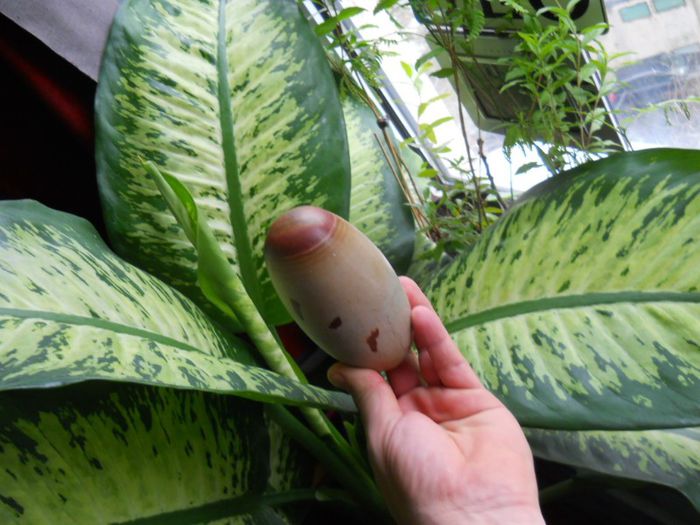 Shiva lingam 2 - QUARTZ 3