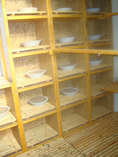 DSC01882