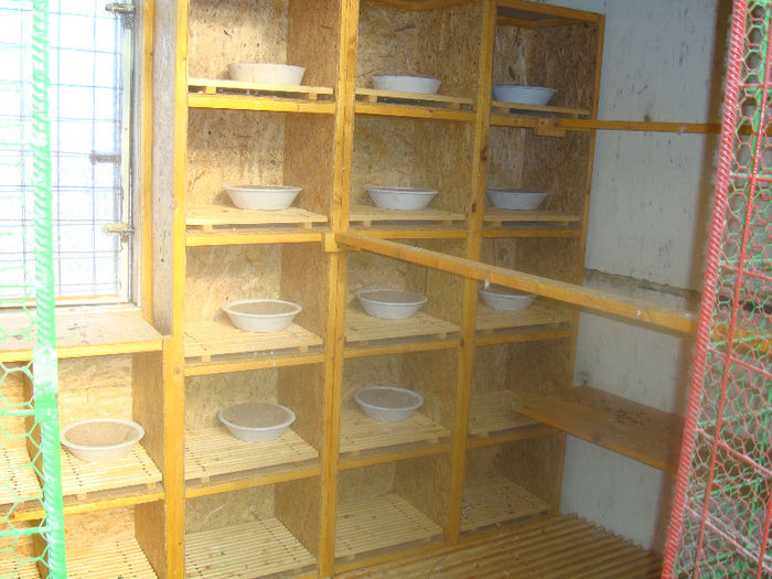 DSC01884