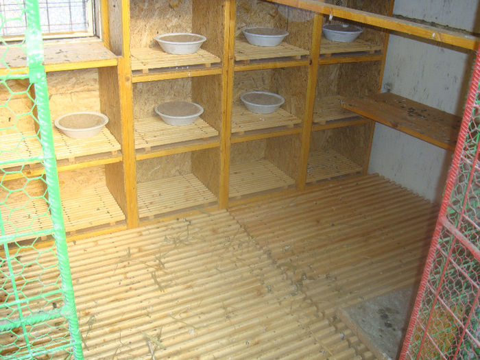 DSC01885