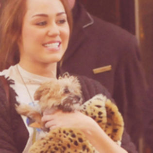 Miilz =]] icons ;;X;X;x (1) - 0x - Icons with Miley