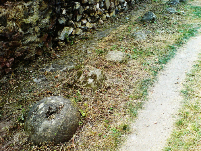 DSC00462 - Cetatea Cisnadioarei