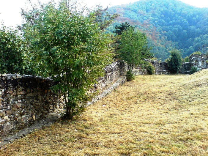 DSC00470 - Cetatea Cisnadioarei