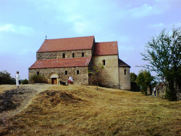 DSC00481 - Cetatea Cisnadioarei