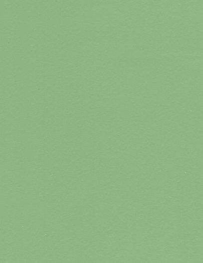 11 verde feriga - 06 Pal colorat