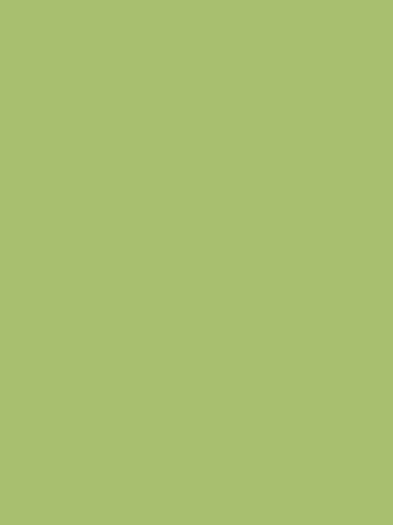 14 verde avocado - 06 Pal colorat