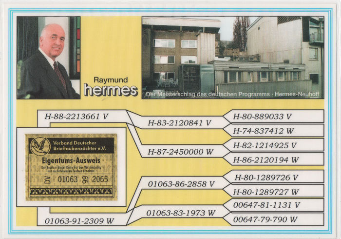 Pedigreu Dolleweerdt