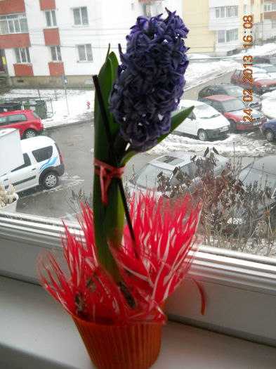 001 - FEBRUARIE 2013