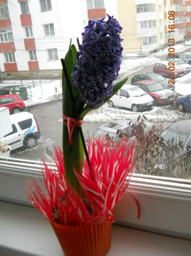 002 - FEBRUARIE 2013