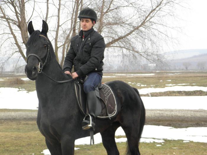 P2216732 - VANZARI CAI 1