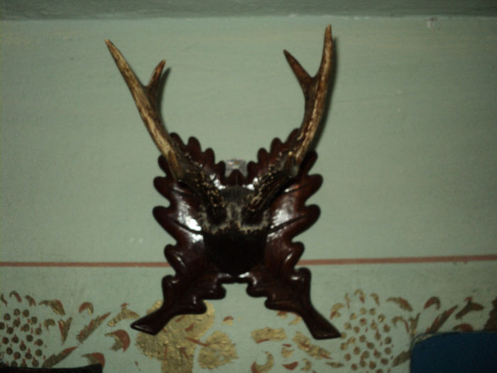 DSC05170 - LUCRARI FACUTE DE MINE SI DE TATAL MEU