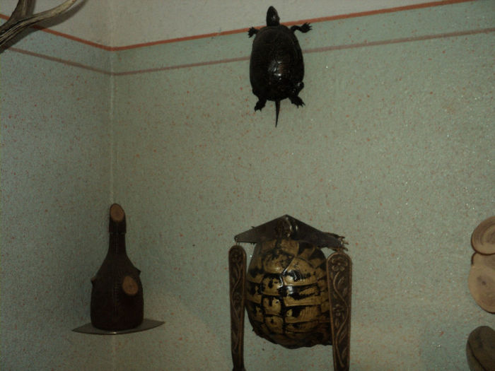 DSC05182 - LUCRARI FACUTE DE MINE SI DE TATAL MEU